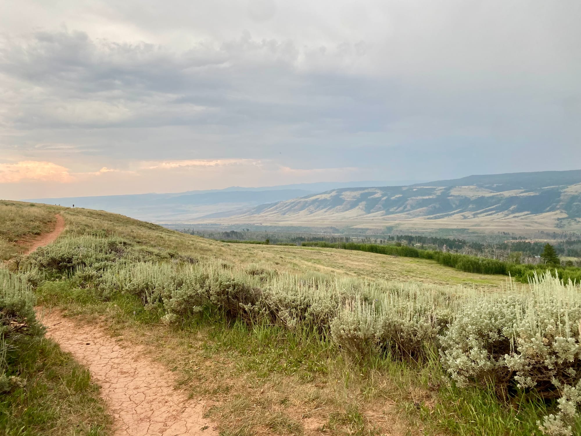 Reading the Asian American West